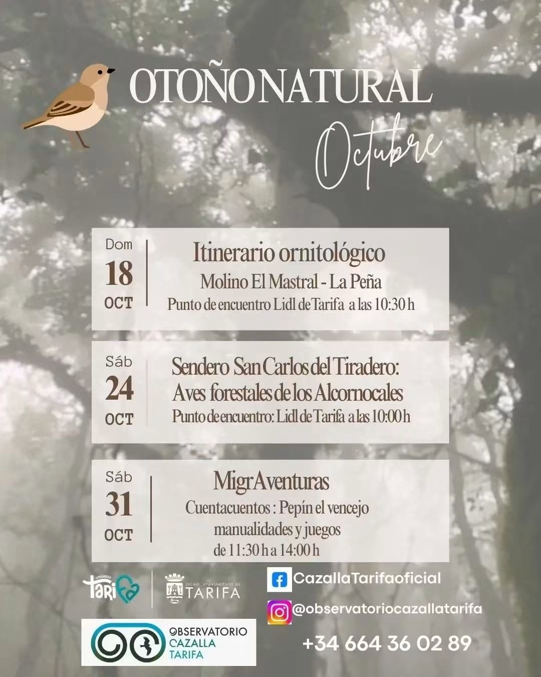 Programa Otoño Natural Tarifa